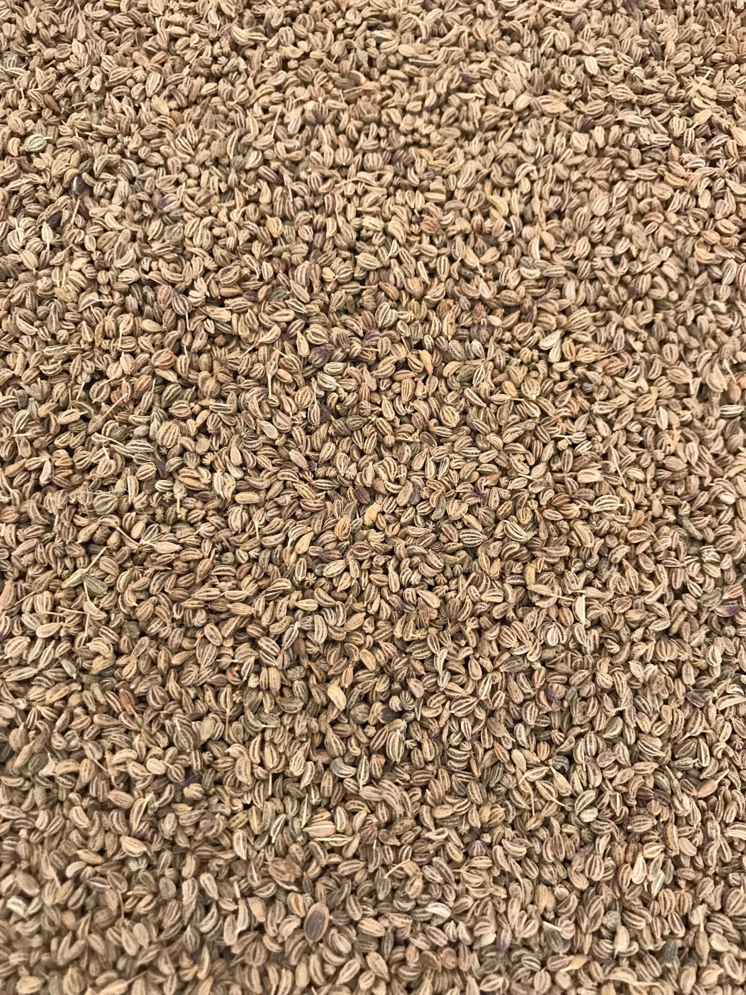Ajwain Whole 100g - Freshmills - Freshmills