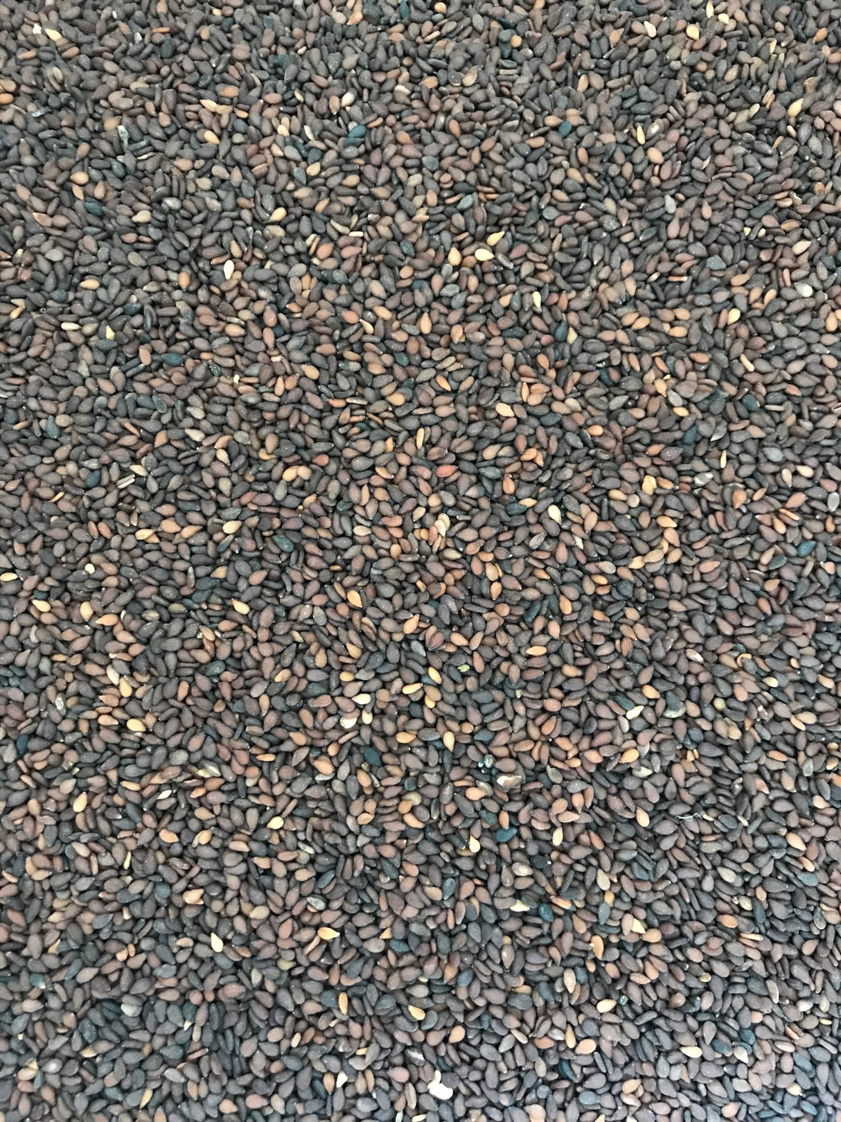 Black Sesame - Freshmills - Freshmills