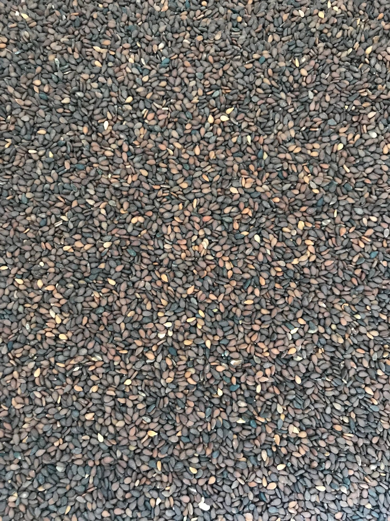 Black Sesame - Freshmills - Freshmills