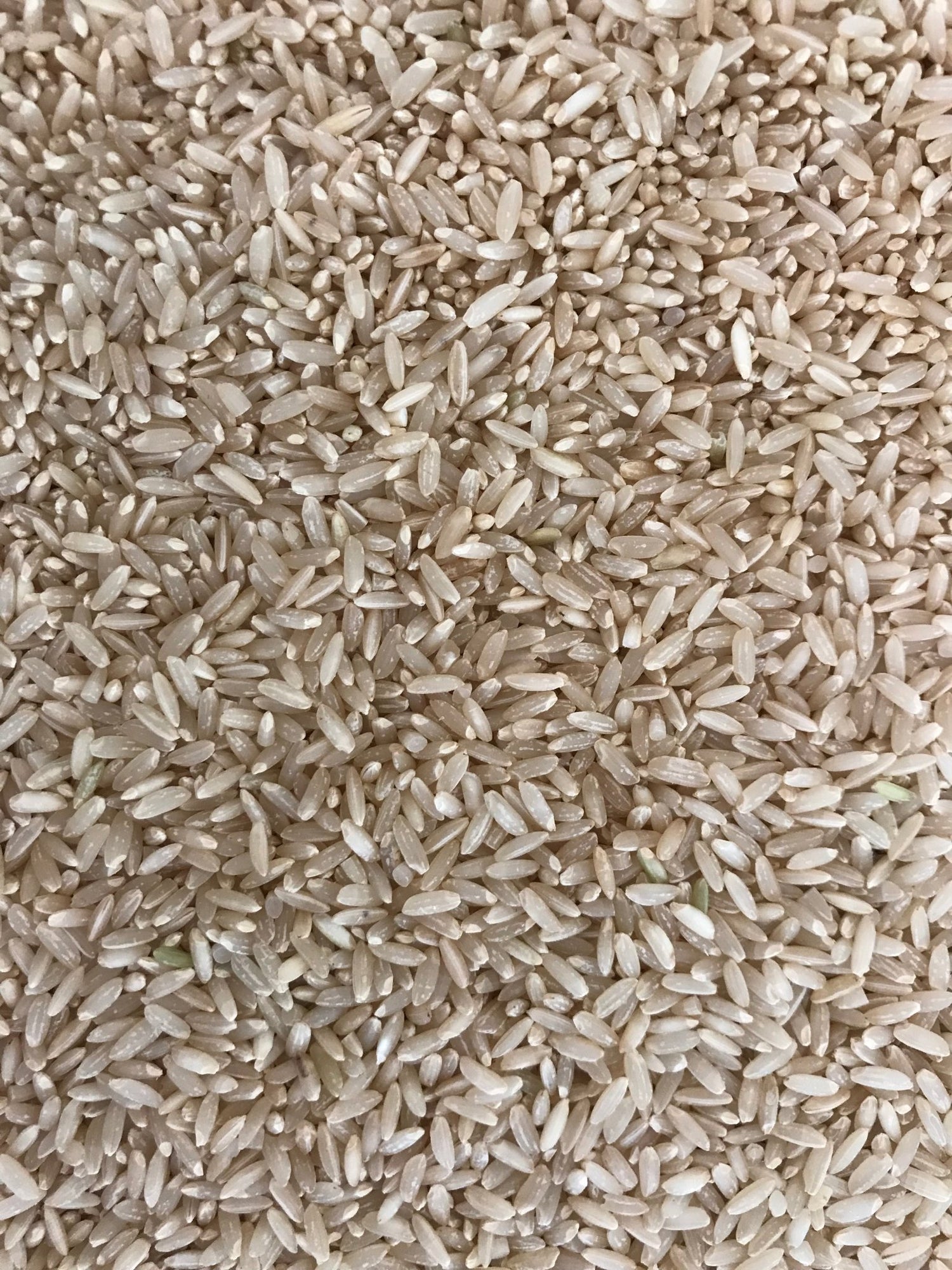 Brown rice - Freshmills - Freshmills