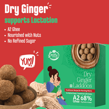 Dry Ginger Laddoos - Early Foods - Freshmills