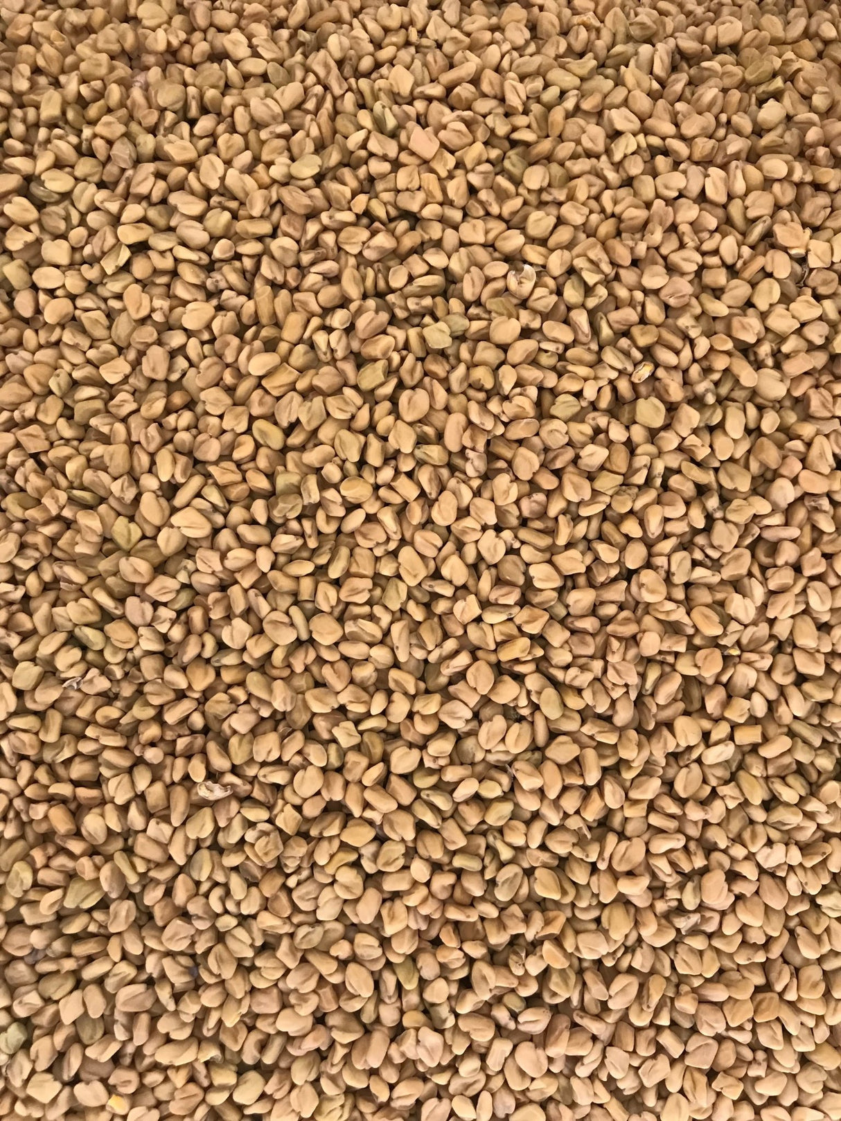 Fenugreek Whole - Freshmills - Freshmills