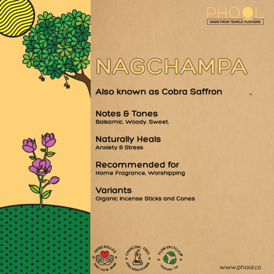 Nagchampa Incense Sticks - Phool - Freshmills