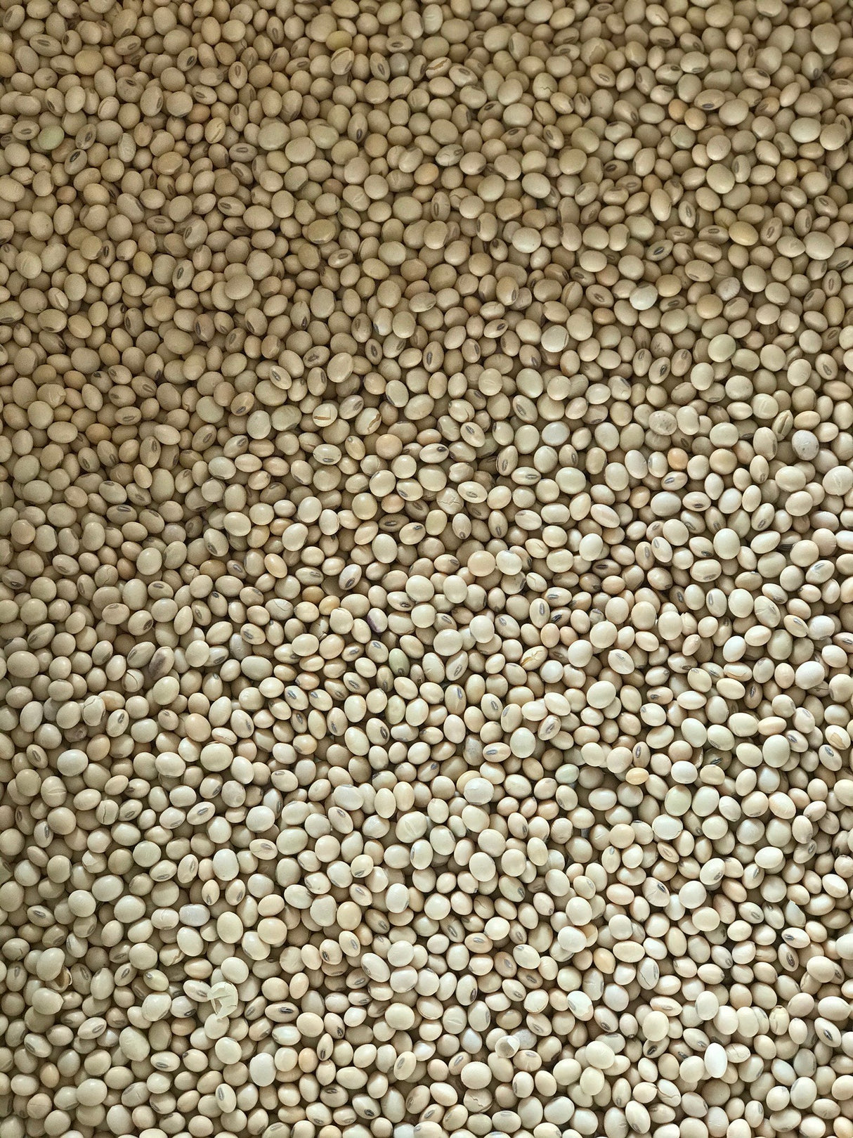 Soya Beans - Freshmills - Freshmills