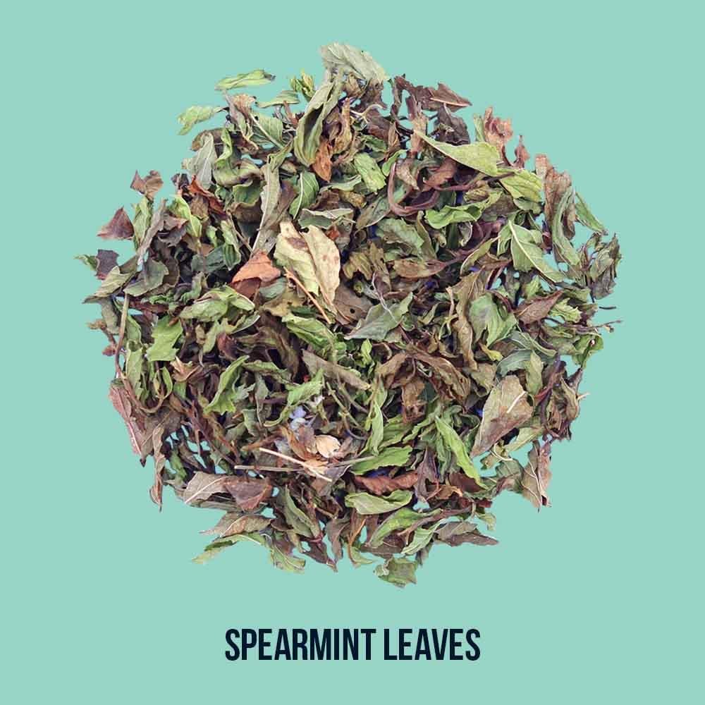 Spearmint Leaves 100g - Tea Trunk - Freshmills