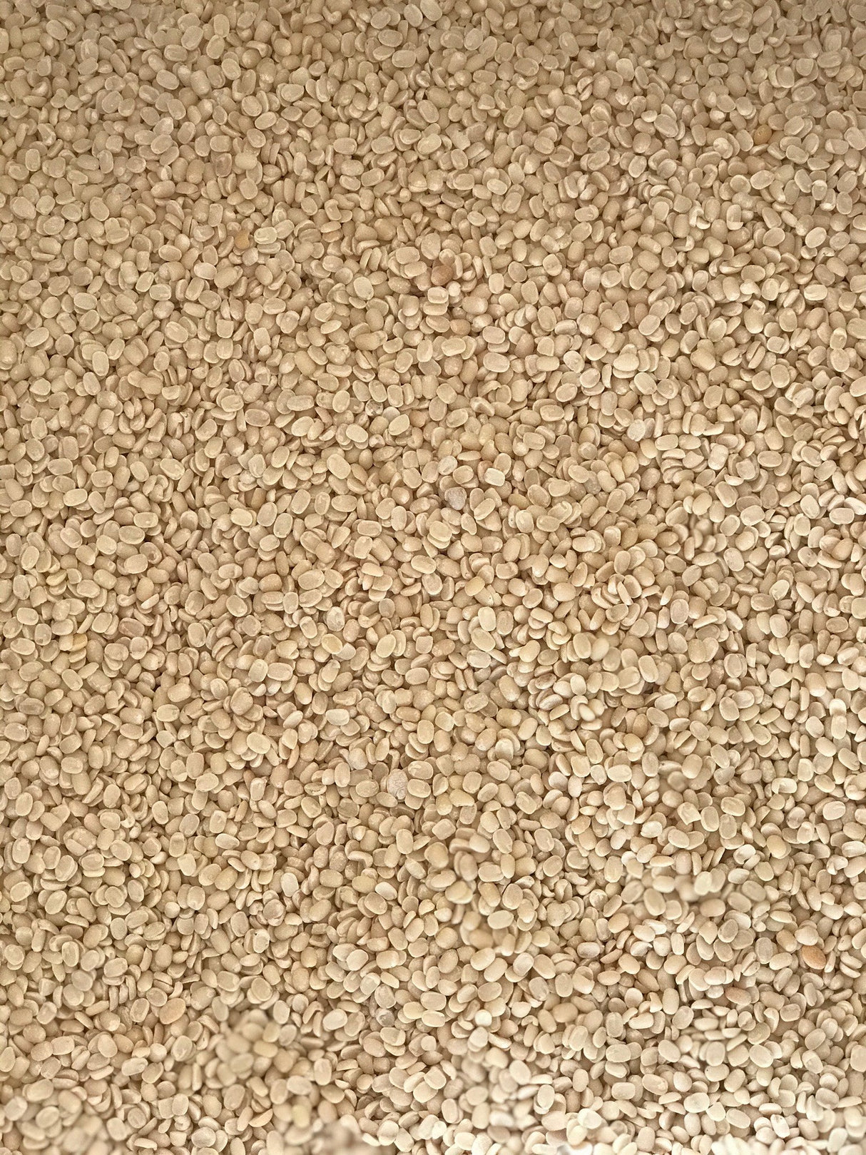 Split Urad Dal - Freshmills - Freshmills