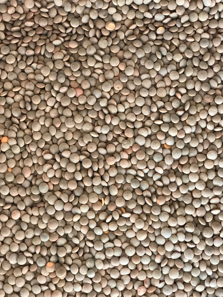 Whole Masoor - Freshmills - Freshmills