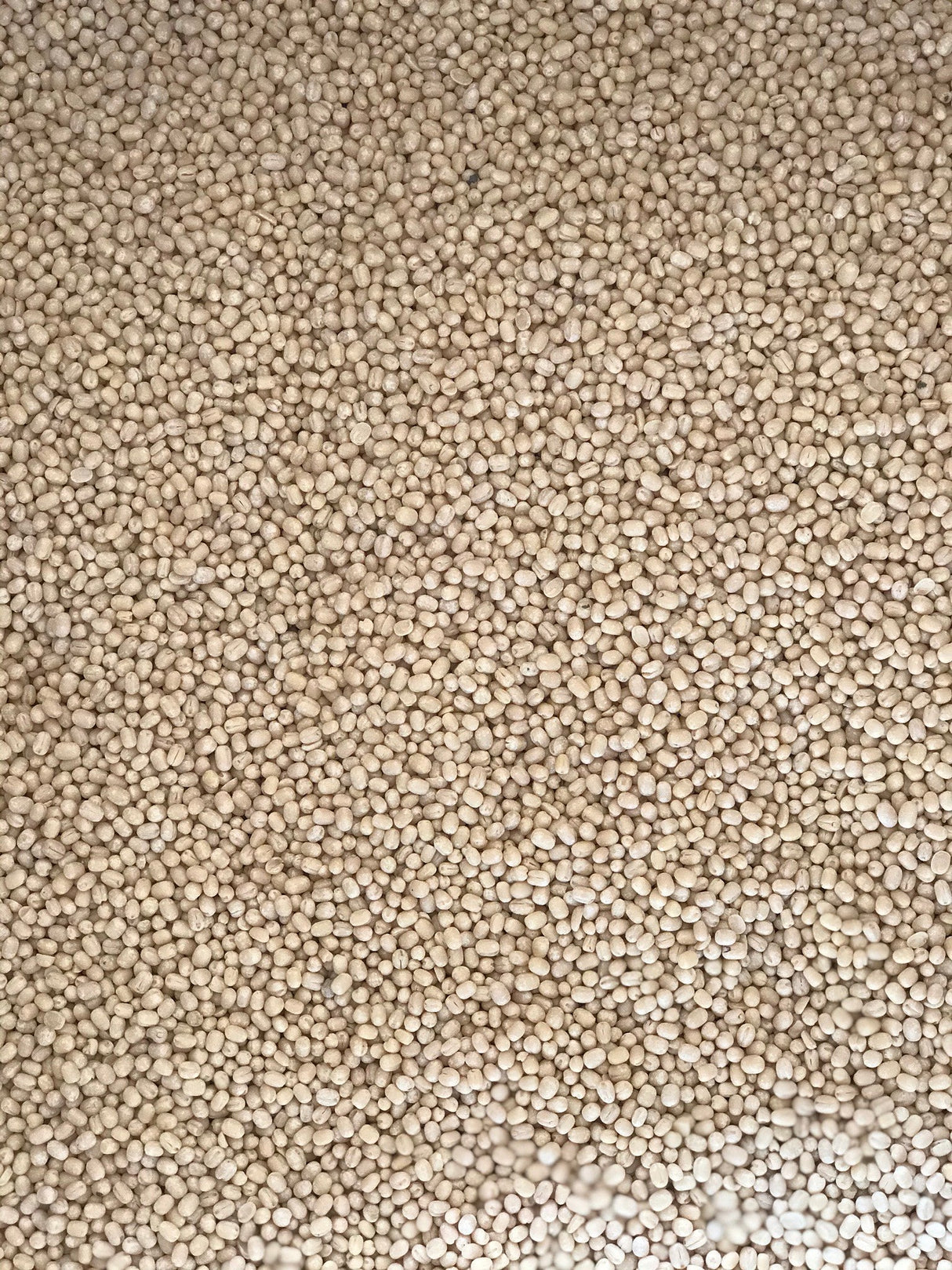 Whole Urad Dal - Freshmills - Freshmills