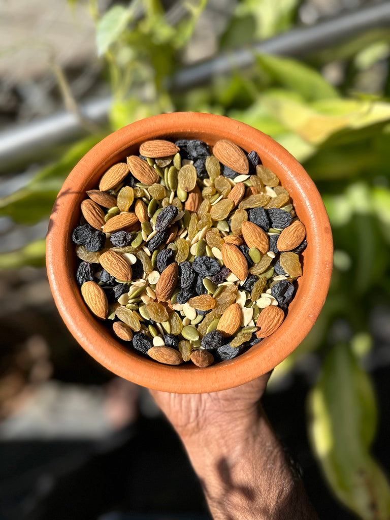 Nuts, Dry Fruits and Seeds