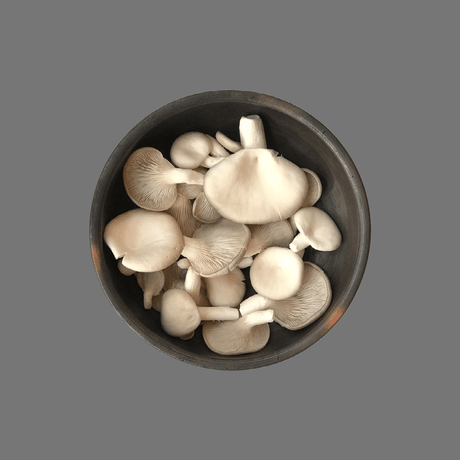 Mushrooms & Greens - Ekadanta Private Limited