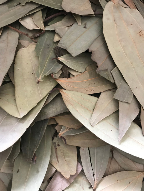 Bay Leaves Whole - Freshmills - Freshmills