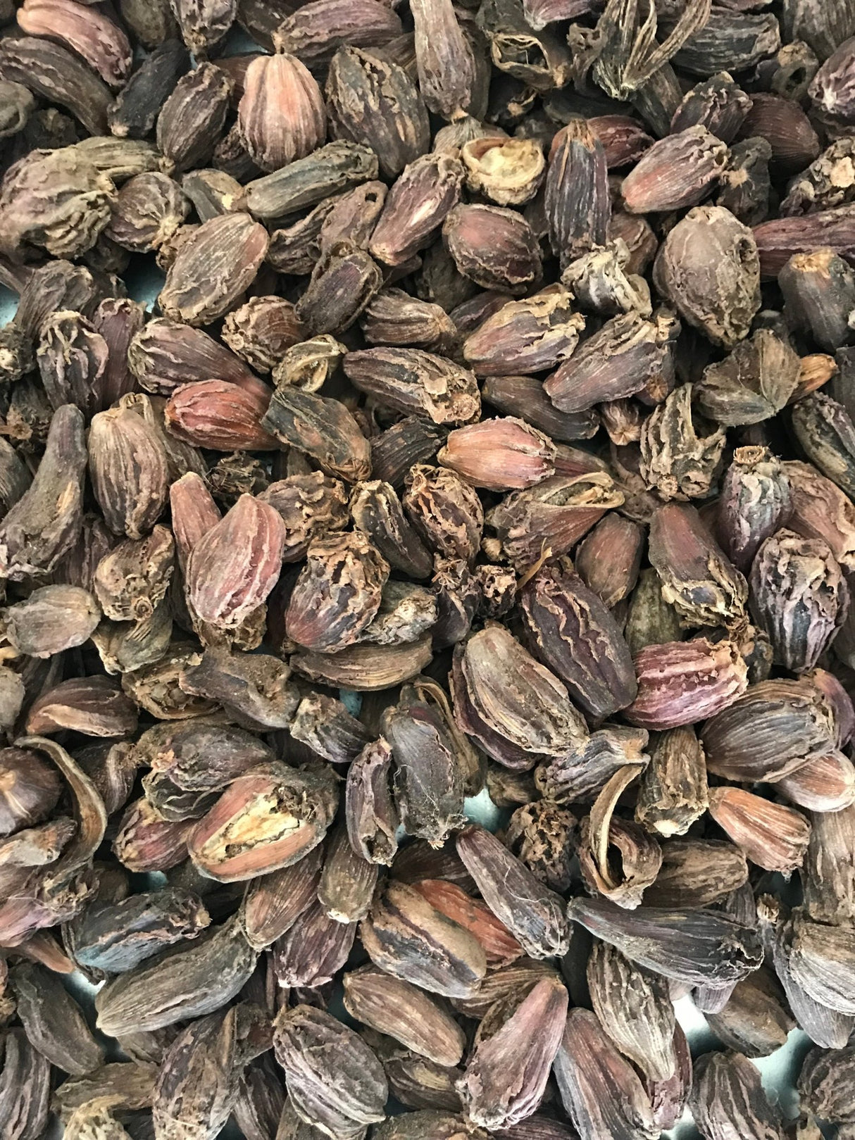 Black Cardamom - Freshmills - Freshmills