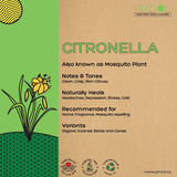 Citronella Incense Cones - Phool - Freshmills