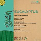 Eucalyptus Incense Sticks - Phool - Freshmills