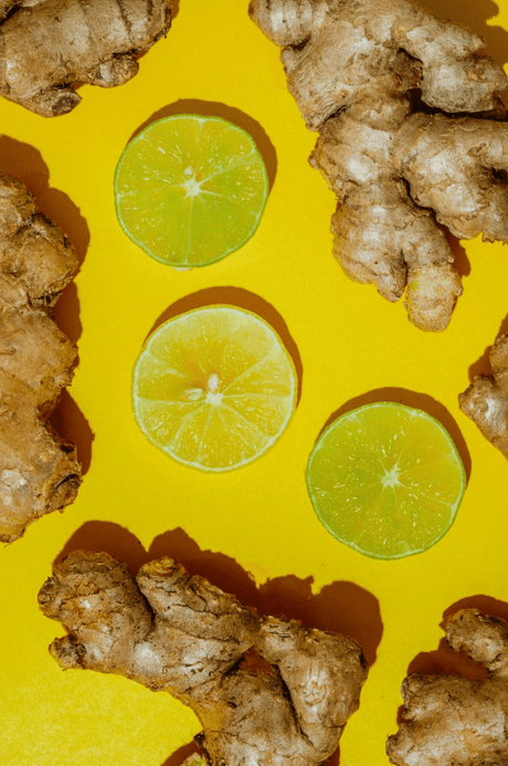 Ginger - Ade Light Kombucha - umami brew - Freshmills
