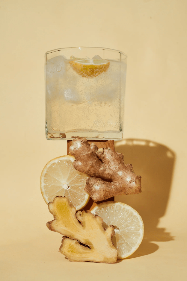 Ginger - Ade Spicy Kombucha - umami brew - Freshmills