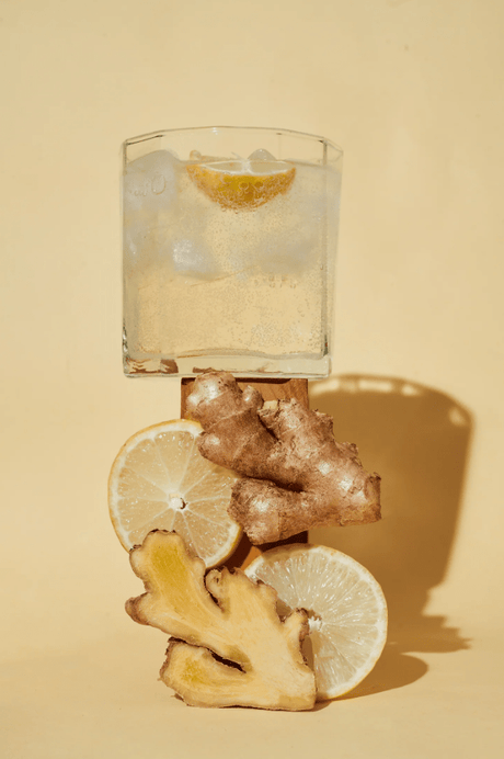 Ginger - Ade Spicy Kombucha - umami brew - Freshmills