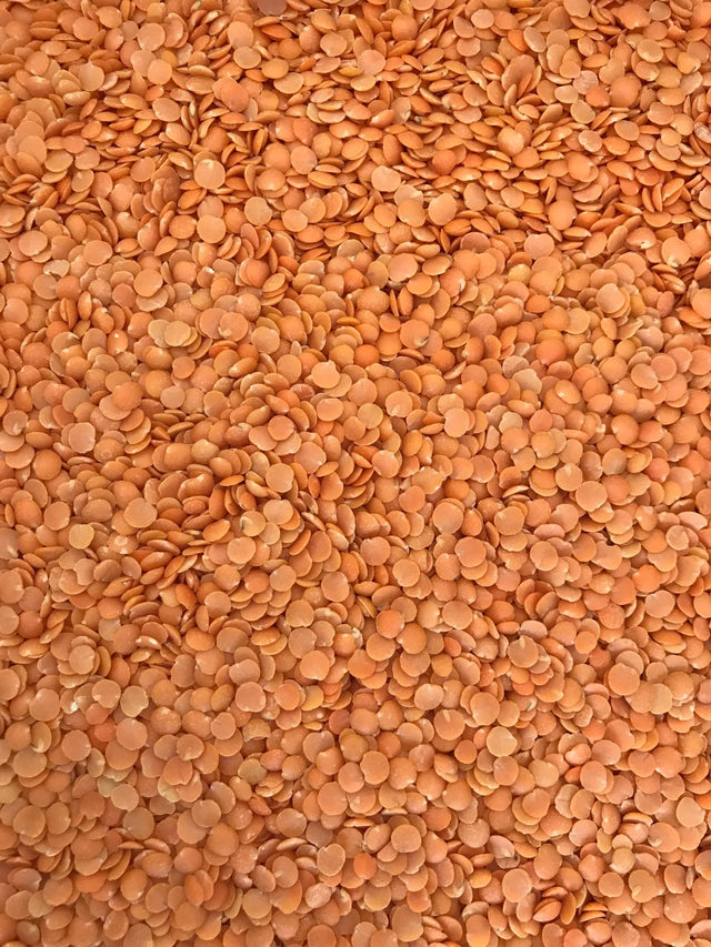 Masoor Dal - Freshmills - Freshmills