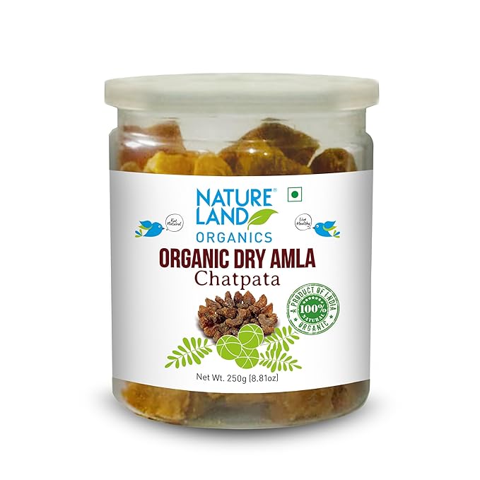 Organics Dry Amla Chatpata - Nature Land - Freshmills