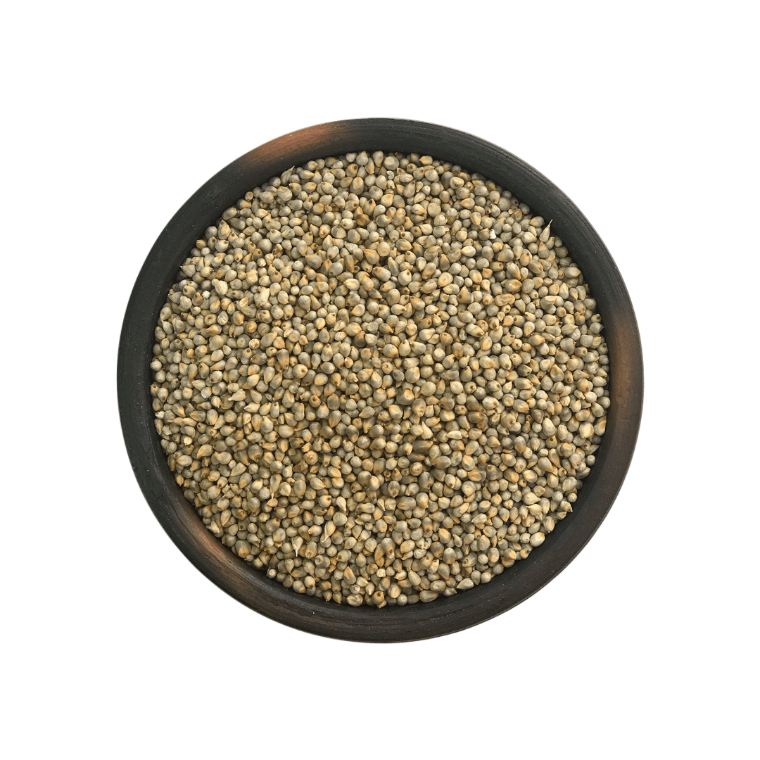 Pearl Millet 500g - Freshmills - Freshmills