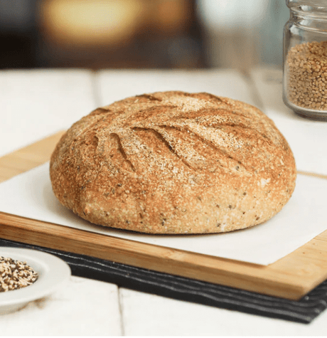 Seedy Sour Loafer (Boule) - Loafer & Co - Freshmills