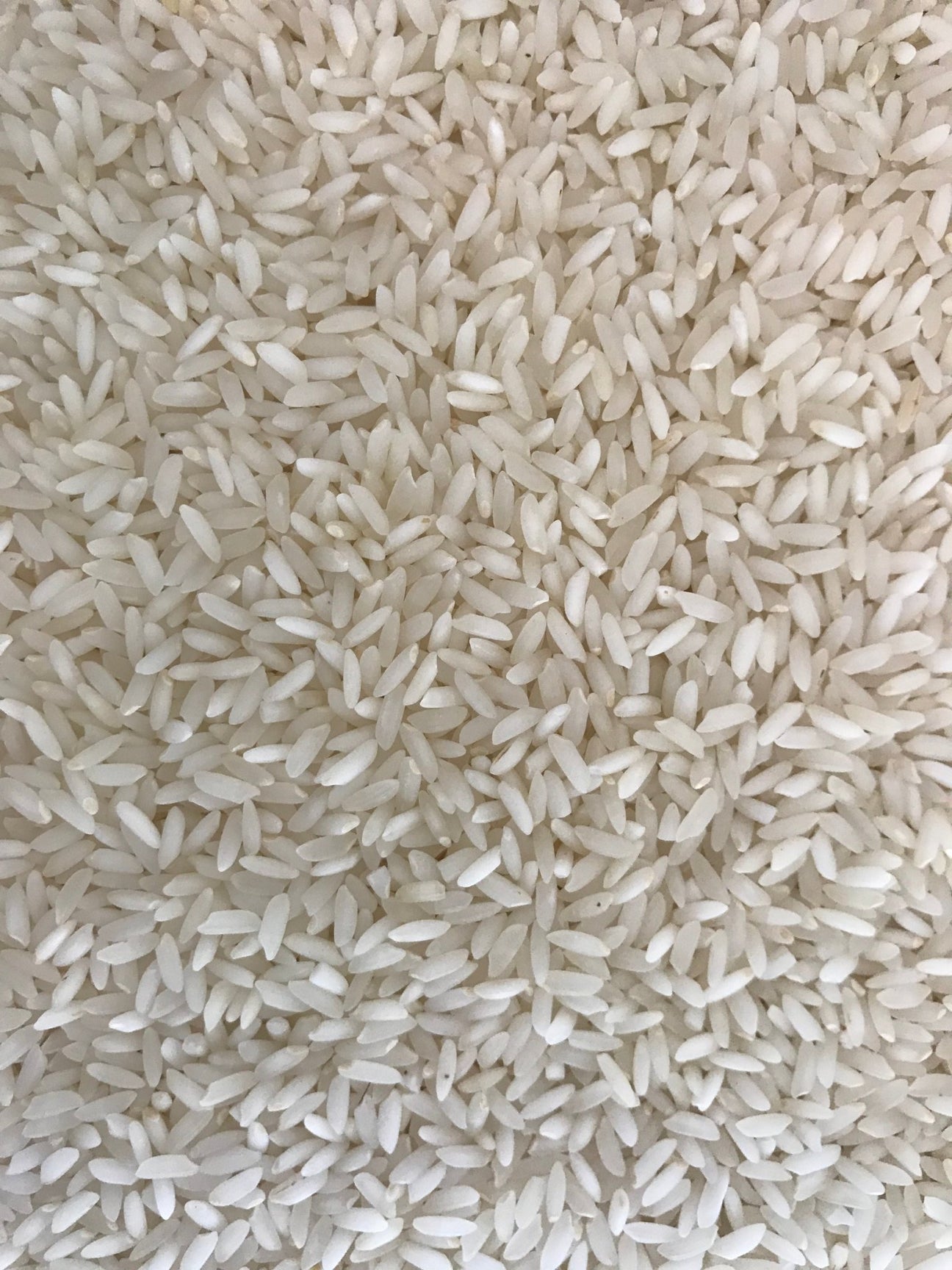 Sona Masoori Rice - 18months aged - Freshmills - Freshmills