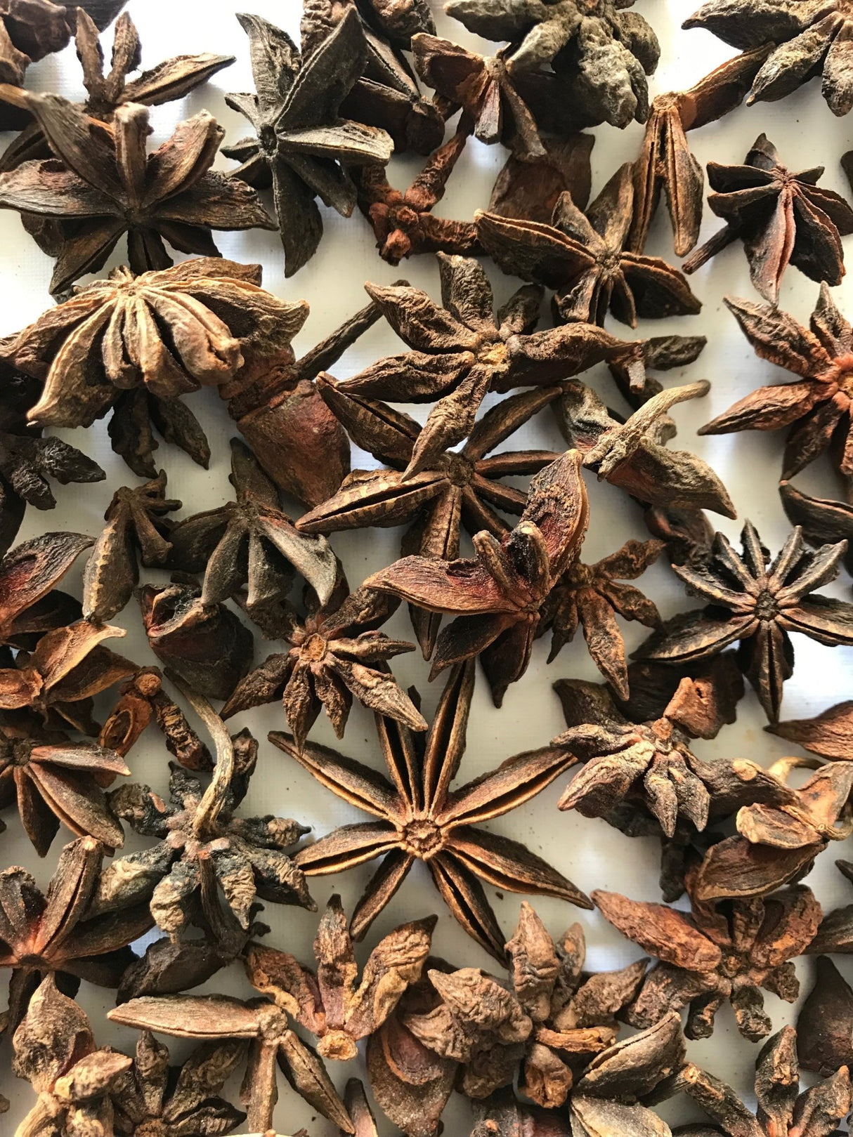 Star Anise Whole - Freshmills - Freshmills