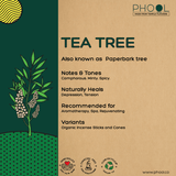 Tea Tree Incense Cones - Phool - Freshmills