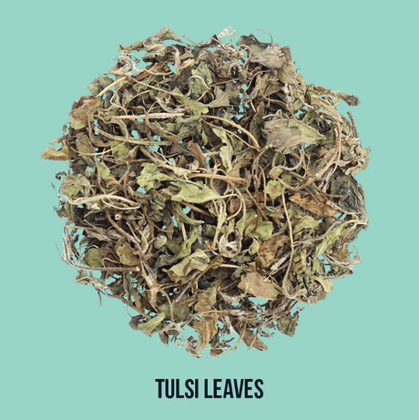 Tulsi Leaves 100g - Tea Trunk - Freshmills