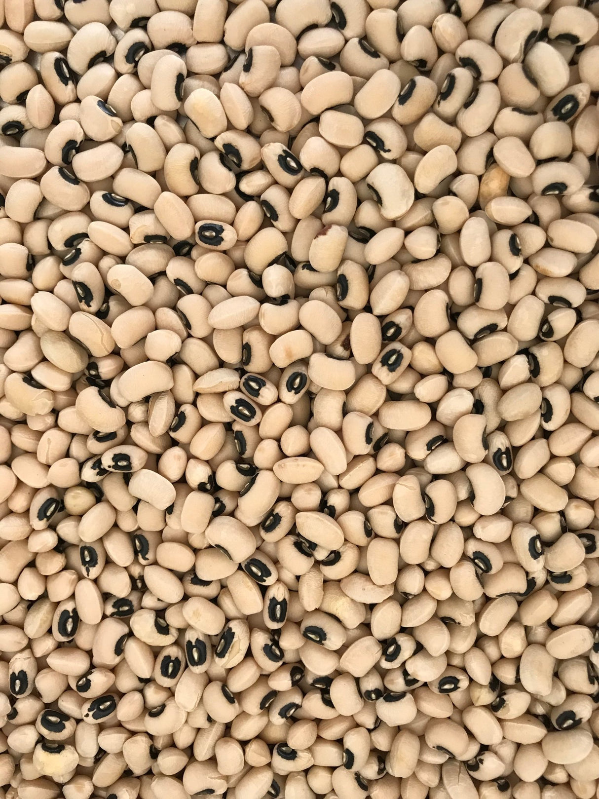 White Cowpea - Freshmills - Freshmills