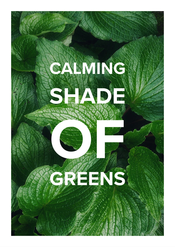 Calming shade of Greens